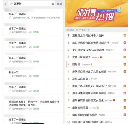 知识类爆料视频大全最新,最新热门内容盘点
